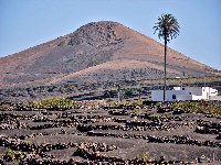 Conil, Lanzarote