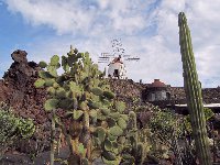 mala, Lanzarote