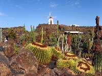 mala, Lanzarote