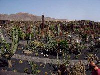 mala, Lanzarote